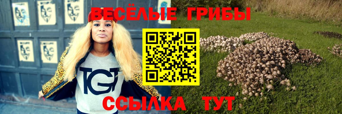 Псилоцибиновые грибы Psilocybine cubensis  Вход с VPN  Сатка 